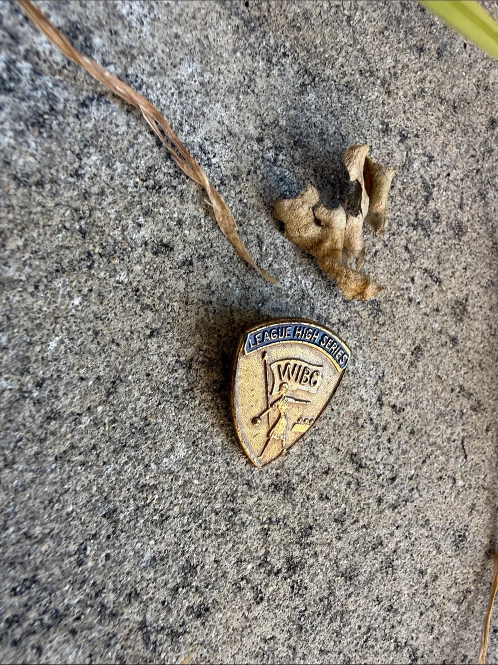 Vintage League High Series WIBC Brass Pin - Blue & Gold